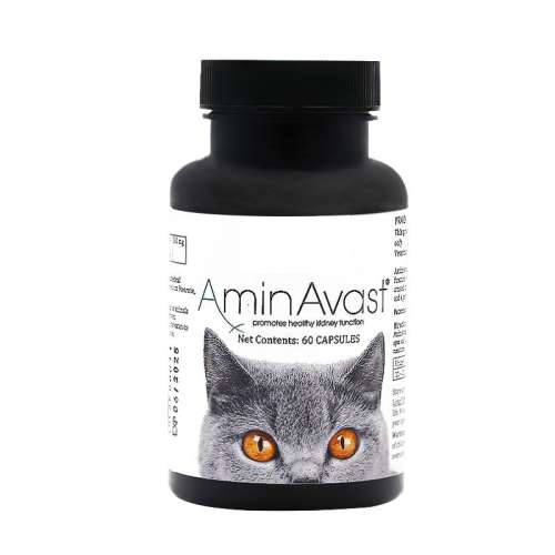 �ۻ��㣺è��С��Ȯ��300mg��ҽԺͬ�� ��α�ɲ顿 60�� AminAvast��������˥ͣ���׼��� 300.82Ԫ(����������88VIP 95��)