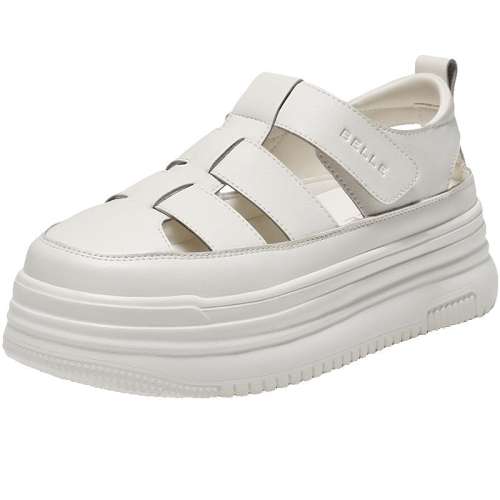 ۻ㣺װɫ 34 ͸Ь 1077.96Ԫ3(359.32Ԫ/)