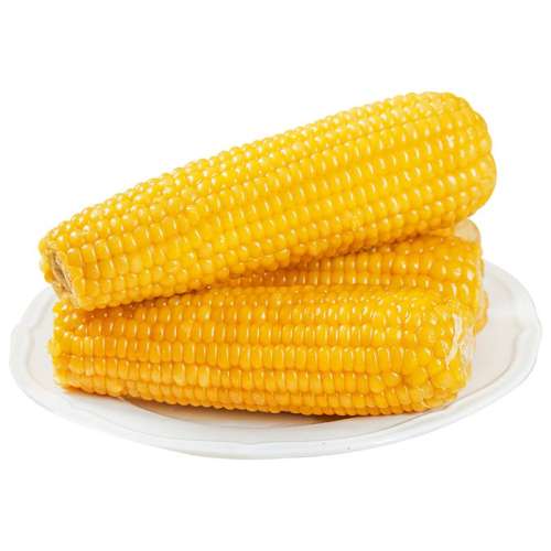 �뿵��Ŵ��������Ŵ���װ���Ŵ�����װ10֧ ��Ŵ���� 10֧ 17.51Ԫ