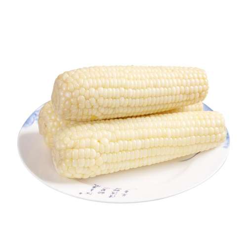 �뿵����Ŵ����300g���6������������Ŵ���װ10֧������ʹ��� ����Ŵ����10֧ 35.11Ԫ