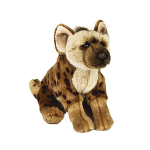 �ְ������� ���ҵ���ë����߻�Įϵ��50.8Ԫ