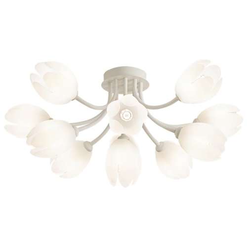 ����7ͷ��7W��ɫ���� ��ʿ�������ͷ����ҵ��� 465.8Ԫ(������)