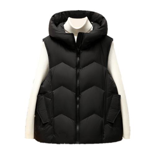 ���Ƿ�ɫ S ѼѼ���޽��������¹������� 380.06Ԫ��2��(��190.03Ԫ/��)