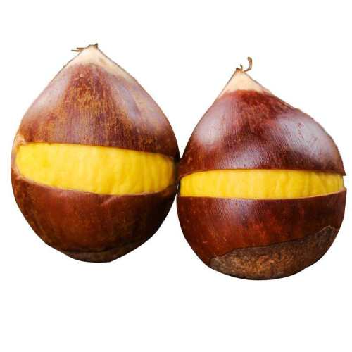 �����ÿڡ�2025������׶����������걸�ɽũ������������ժҰ��׵ 1kg �����ÿڡ��й���2.1-2.3cm������ʡ�� 38.95Ԫ