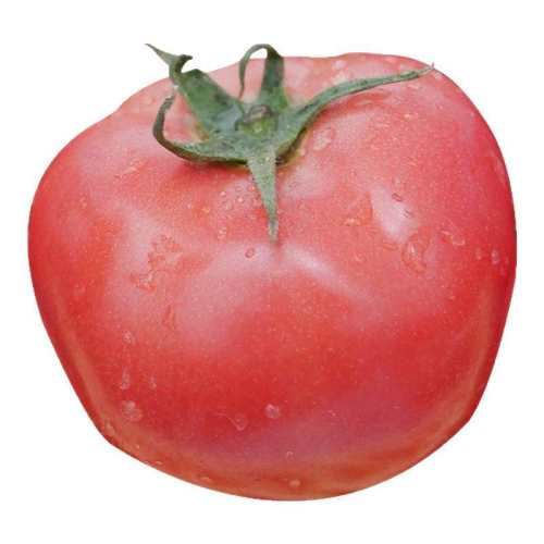 *��췬������ 20��/�� ������������ë���������ļ� 4.25Ԫ