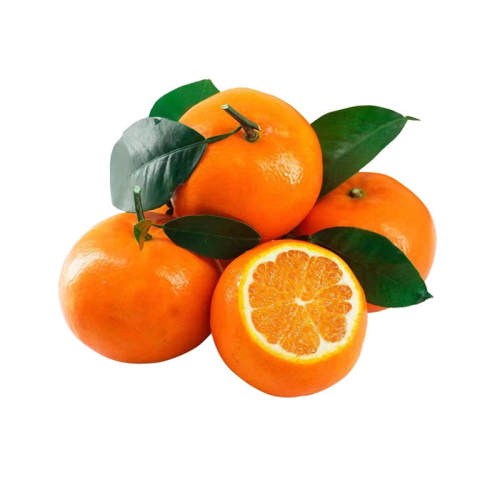 ���������ָ̰�����������Ӧ�����и�ˮ������̽��ӻʵ�ɰ�ǹ�԰ 4.5�� ����60mm����