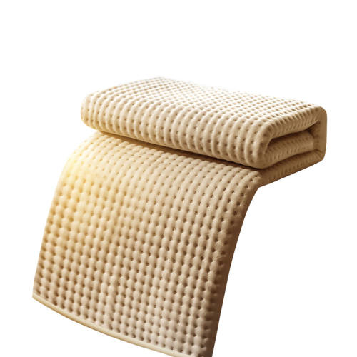 2025�¿�ʯīϩ����̺��Ʒ�ٷ��콢����õ�����˫��˫�ص��µ��� ů���ס�0.7x1.5�׵��ؿ����63��C?���ܺ�����˯?��ˮ��©��?A+��ĸӤ���� 88Ԫ(������)