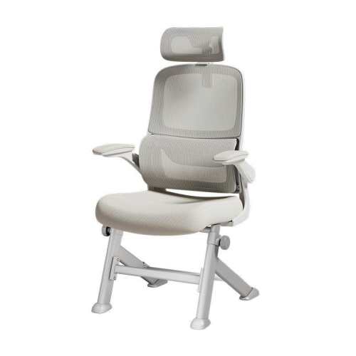 ���ڲ�����P1Pro�ҡ�����֧�� ���ε��� �̶��νš� �ڰ׵�P1Proѧϰ������������� 539.75Ԫ(������)