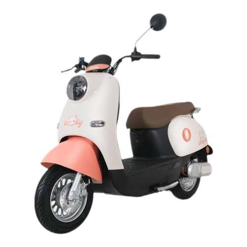 ���ڲ�����60V ���Ӱ�/���ʷ۳ȡ�20ahǦ�᡿ ŷ������60VǦ��綯Ħ�г� 2057.6Ԫ