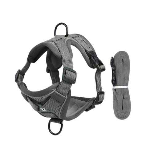 ��ɫ+1.5�ױ������ɵ��ڷ����ѡ� S��è������3-6�����ҡ� è��ǣ��������è�����ѿɵ��ڱ���ʽ��è�������ղ����ר���ر� 17Ԫ