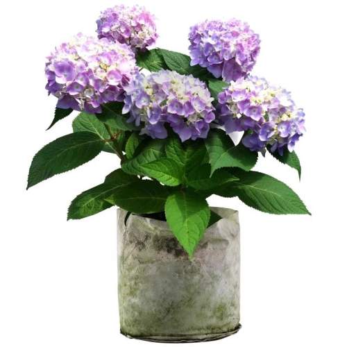 1���޾��ġ� ���ػݡ���ѡ����1�ã����������Ժ�׳�磩 �������ļ�����|ǧ�˻ع� 4.7Ԫ