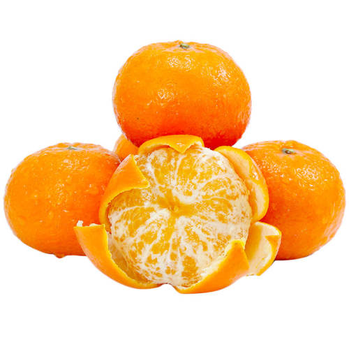 �����ָ�����ˮ������һ����ʱ����ժ��ɳ������ɰ�Ǹ��ٽ����� 2�� ����60-65mmح����ʵ�� 5.8Ԫ