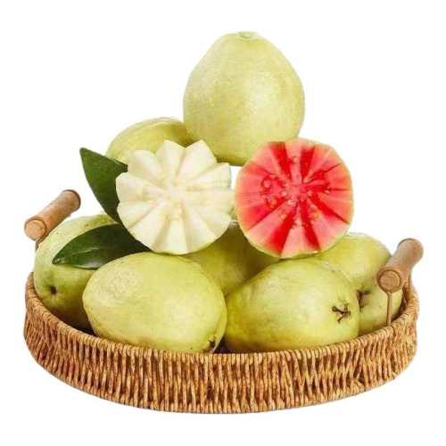 ���ڲ�����3������ 120���� x�㶫������Ŵ���Ͱ���5������ˮ���������ķ�ʯ��ʺ�����İ��� 20.9Ԫ