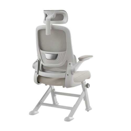 ���ڲ�����P1 Pro������֧�� ���ε��� ���ǽš������� ��ɫ�������ţ� ̼�ֽ� 90�㷭ת���� �ڰ׵�P1 Pro������ѧϰ�ε����� 459Ԫ(������)