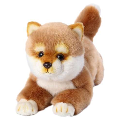 ڲż(Լ50cm*25cm) ë޿ǵ綯 ȮżëС165Ԫ