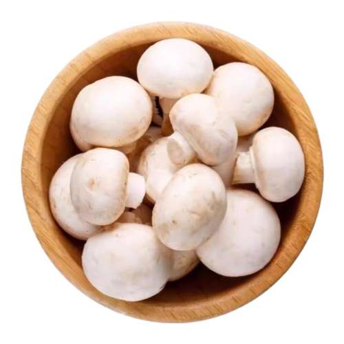 ۻ㣺ֲַ 250g ˳ʡĢ˫߹15.67Ԫ