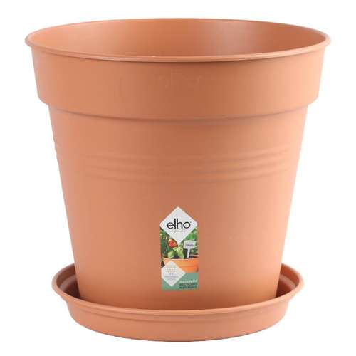 ۻ㣺ɫ  13cm elhoֲϱŷ7.98Ԫ(88VIP 95)