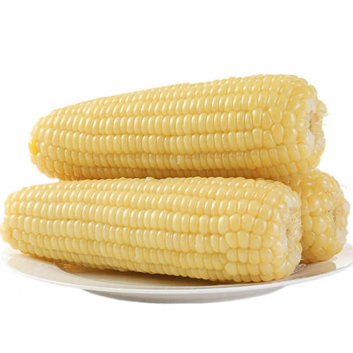 ���� ���ʰ�Ŵ����10֧��֬������հ�װ�������� 280g 8֧ 14.5Ԫ