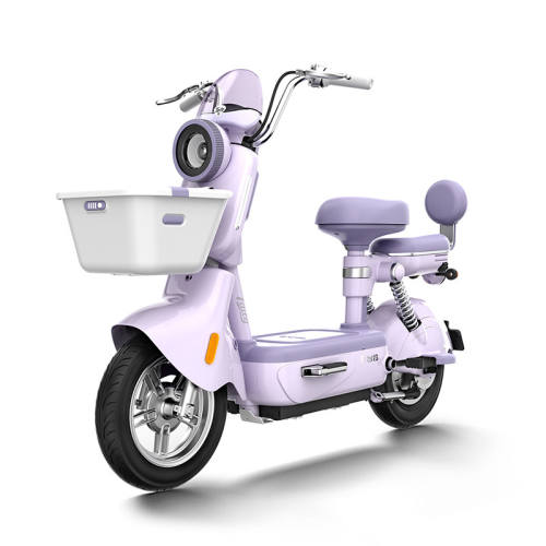 ���ڲ�����20AH �����򲻼Ӽۣ���ɫ�����ŵ�ѡ�� ���ŵ����᡿̨���������������¹���綯���������ܵ�ƿ�� 2679Ԫ