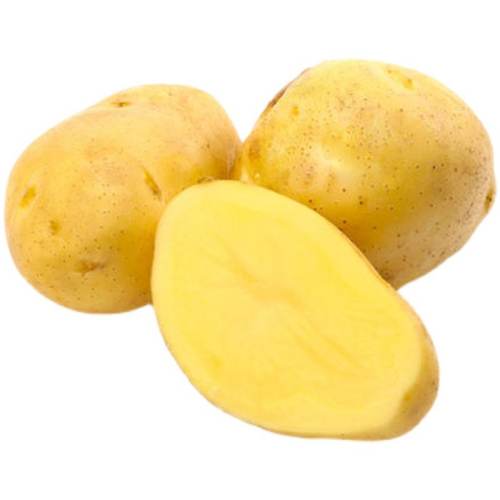 ���ඨ������ɳ������������ũ����������5/9����������Ŵ 5�� С�� 11.38Ԫ