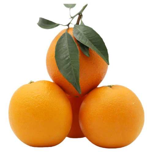 �����ʵ�л�������ڽ�������Ƥ����֭����ˮ���и���ͯ����6�� 6�� 60-69mm 48.4Ԫ