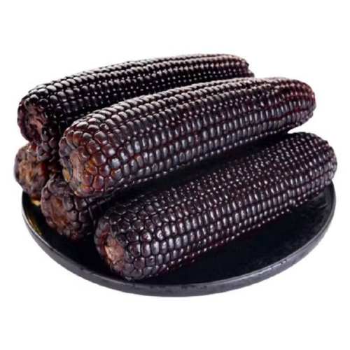 ����������Ŵ����10֧װ�����ʳ������ζӪ������ճŴ�������װ ���������Ŵ����190-220g*3֧ 5.9Ԫ