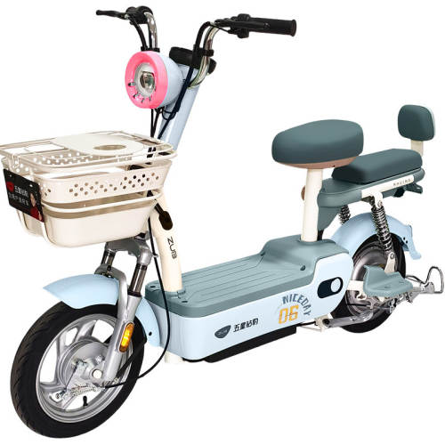 48V 20AH ������/Դ�ʾ��׵���/���ǳ��/F������ �����걪48V20AH�綯��2026�¹���綯���г����������ܵ�ƿ��A39 1599Ԫ