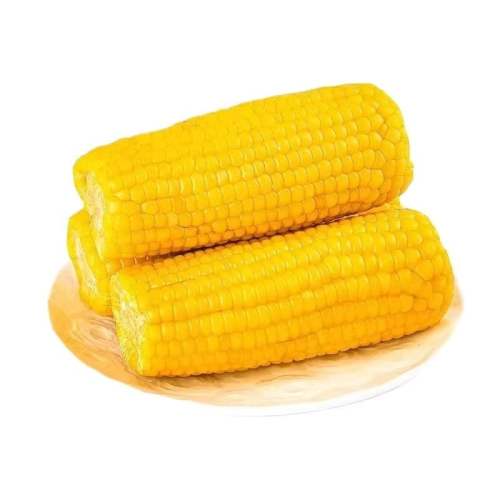 ���ڶ������ʻ�Ŵ������Ŵ������˿������װ������ͷǼ�ʳŴ���� ���������+��Ŵ����180g-220*10֧ 17.6Ԫ