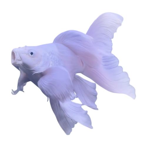 ����ʯ��������磨������5-7���� 3�� ��˳����ʡ�����������������