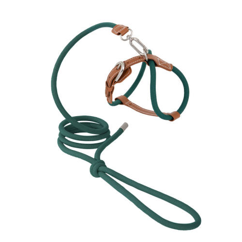 ��ʯ�� F-���� HiDREAM����Ծ��è�ر�����װ�ɵ���X���η�����èǣ������è�� 70.22Ԫ