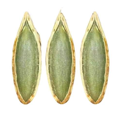 �»����˼ס��졿����ζ������װ��Լ50���� 2025��Ʒ�������˼��Ϲ��ӳ��쳤�����˼�ԭζ������ʳ������װ 13.1Ԫ