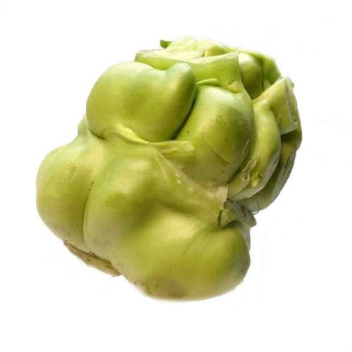 �����Ĵ��ز� ե��ͷũ���������ͷ��ǲ˽�� ��ǲ� 5��װ���� 5�� 9.9Ԫ