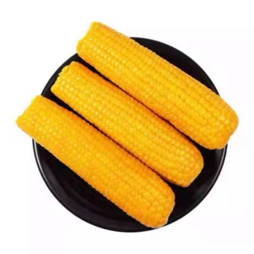 �����»�Ŵ���������׶���������Ŵ��������հ�װ������ͷǼ�ʳ ����Ŵ����200-230*3֧������װ�� 5.9Ԫ