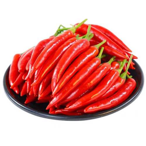 С��������5������С�׽����콷����������Ƥ�������������ٷ� 100g 8.45Ԫ