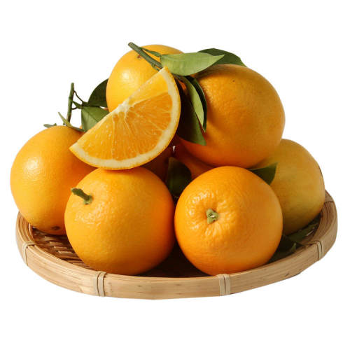 ����Ҷ�ʹ����������10��װ ե֭��֭����ˮ����ժ���佭����� 10�� ����10�����9.2�С��60-70mm 25.8Ԫ