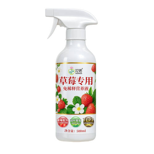 ��ݮר��Ӫ��Һ500ml*1ƿ���ٻ��ٹ��� ��ݮר��Ӫ��ҺӪ���ʼ�����ϡ�ͼ�����ֲ����������̨����Һ��� 9.99Ԫ