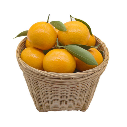 ���ڵ���ʵ۸����ʹ���ˮ���㶫�ƴ��10��5˳���ȴ���԰��ժ 5�� ����ͨ��װ���й� 6��/�� | �ڸг��� ����ɽ�������� 21.59Ԫ