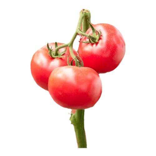 �۹ڷ������� 30��ԭװ ����2��1�� ͯ��ɳȿ���� ������������Ʒ��ë�۷��Ѹ߲� 38Ԫ