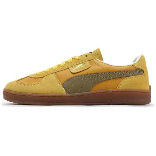 �ۻ��㣺���Ž��Ƶ�ѵЬTͷЬPUMA���� 1177.44Ԫ��3��(��392.48Ԫ/��)