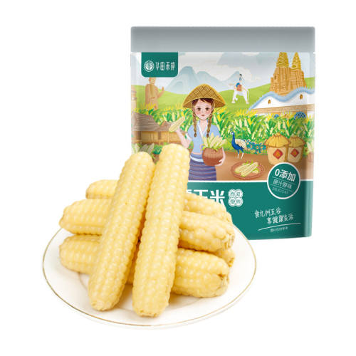 ����̰�������˫����Ĵָ���׶�ͯ����2025������ŴС��ָ���װ� ��1��ʴ�װ����ѡ����(Լ8-10��) 21.77Ԫ