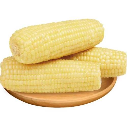 ������Ŵճ������մ�װ���ʼ�ʳ����װ����ʹ�����ճ���� С����������Ŵ����221g*10֧ 17.01Ԫ