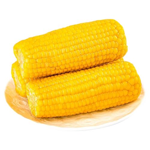 ���������������ڶ���ԭ����Ŵ������֧���װ���ͷ�ת������ζ ��Ŵ����220g*8֧������װ 18.5Ԫ