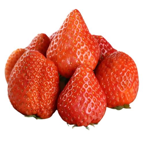 ���Ա����ڲ����ٷ�ֱ�������ڵ���99��ݮ���ʺ��վž����Ͱ��� 1�� ��С��(����20g����)�������� 49.69Ԫ