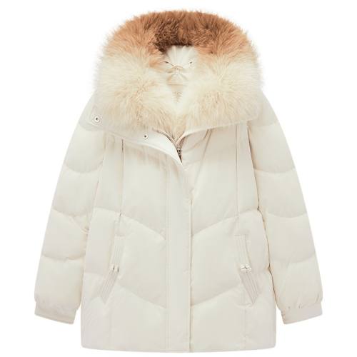 �װ�27 155/80A/S ������������ɫʱ�����޷�2025�궬���¿�Ů��ů��ë�����ʶ����� 1279.12Ԫ