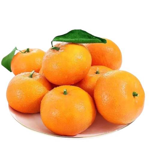 �����ָ�����ˮ����������ʱ��10��ժ��ɳ������ɰ�Ǹ��ٽ�����5 2�� ����С��������55-60mm����С 6.23Ԫ