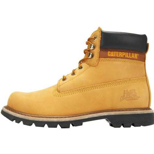 ��ʿ 39 ����ͬ������CAT�����ﶬ��Ůͬ����ý����¿����ѥ 1294.4Ԫ��2��(��647.2Ԫ/��)