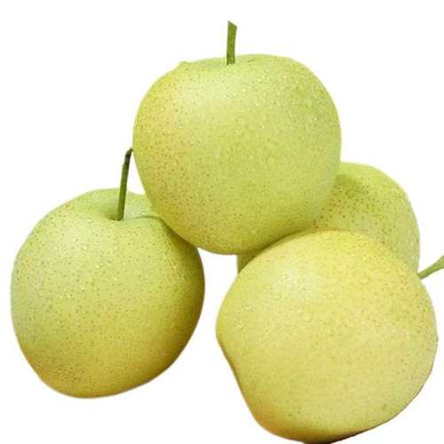 ������ɽ������������ˮ������Ӧ��������������ڻ�ѩ�������ժ 2�� С��