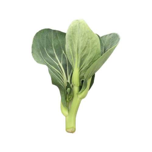 ���̦�����ձ�¶��˪�����İײ�޷�۲�����ժ�������̦�Ͳ�̦ 1��-���̦��˳���ͻ����š�