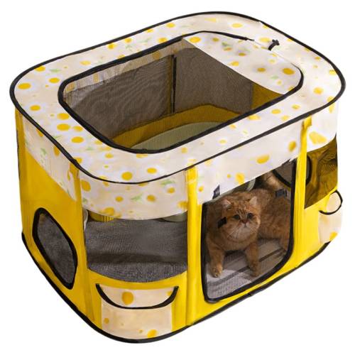 ���γ�ɫ�ܲ����� M���ʺ�һֻè��+��ֻè���� è�����è�Ѵ����ѷ��ʽè������ֳ�����������ר��������Ʒ