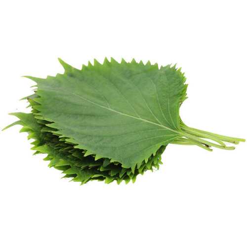 Ҽ�� ����Ҷ1��Լ40Ƭ����������Ҷ�����������ϵ�ζ�߲�����ʳ�� 25g